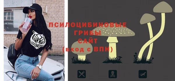молекула духа Алексеевка