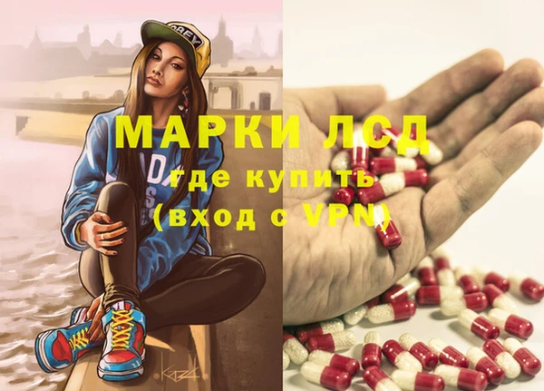 прущие грибы Усмань